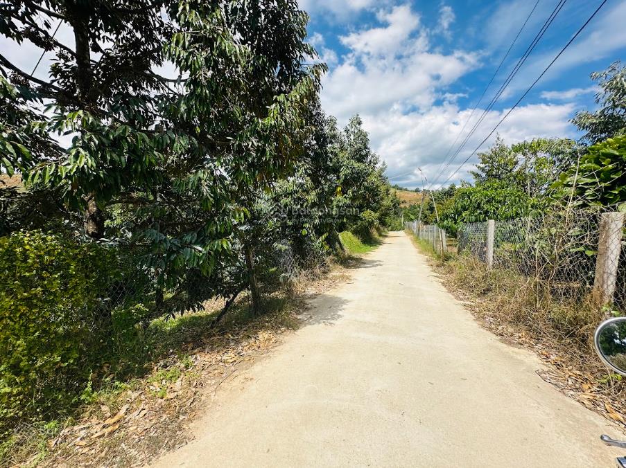 1,1 ha vườn cây ăn trái ngay sát trung tâm lộc nam  bảo lâm