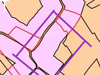 1,1 ha vườn cây ăn trái ngay sát trung tâm lộc nam  bảo lâm