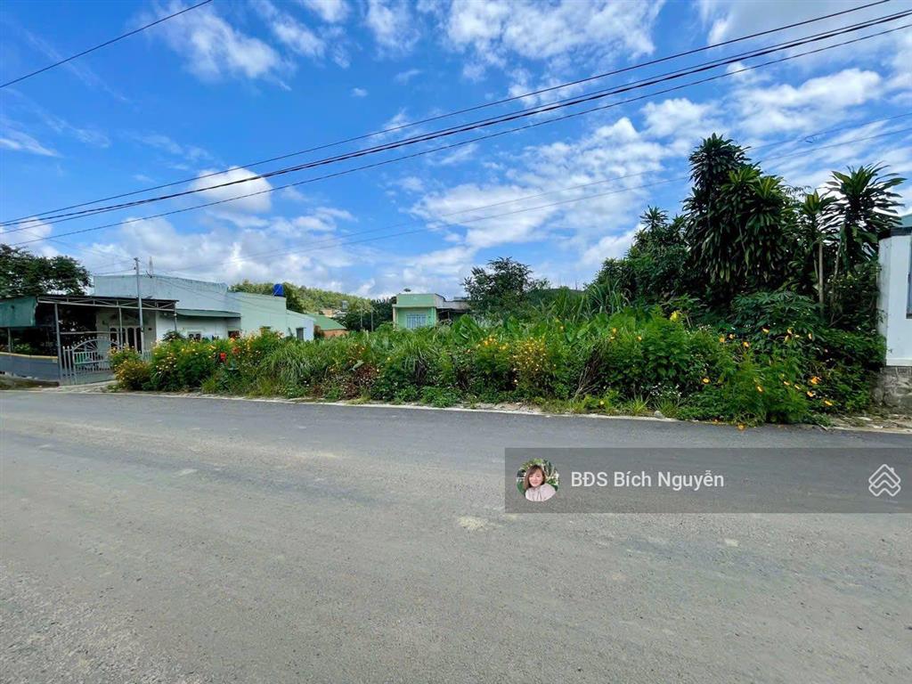 Giá mặt tiền nguyễn thiện thuật  p3  bảo lộc rẻ như đất hẻm