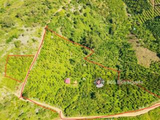 10.600m2 sẵn 400m2 thổ cư thôn 15 lộc thành