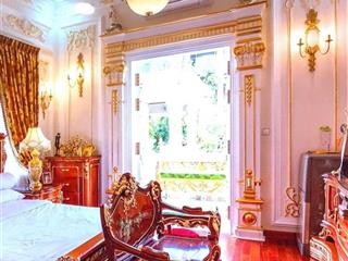 Biệt thự dát vàng  nguyễn đình chiểu  đại đại tỷ phú  đa kao  q. 1  giá 320 tỷ