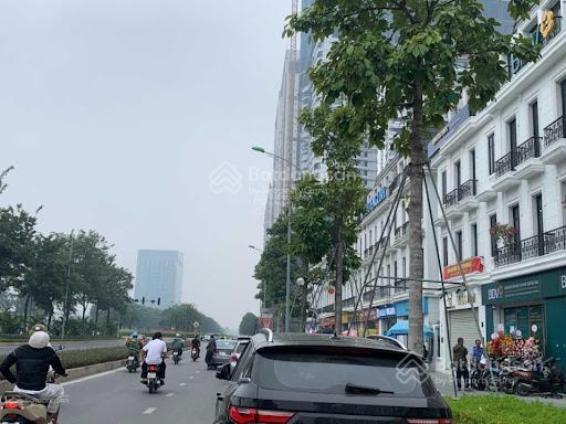 Bán shophouse embassy garden mặt đường 60m
