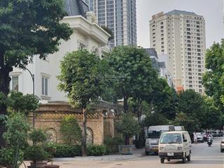 Bậc nhất thanh xuân biệt thự kén khách  hợp doanh nhân  sống sinh thái. 189m2, 4 tầng, thang máy