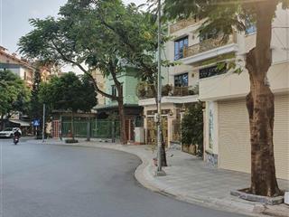 Biệt thự tố hữu hiếm có, khó tìm  kd dòng tiền  tiện ích sẵn, an sinh đỉnh. 154m2, 4t hơn 30 tỷ