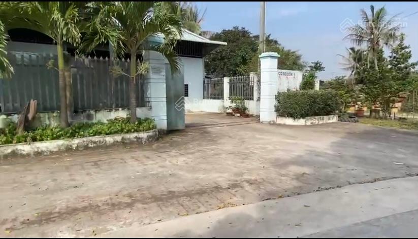 Gò đen, bán gấp kho xưởng dt 14.2m x 46m, 655m2 thổ cư 100%, đường xe tải 10 tấn, chỉ 6.5 tỷ tl