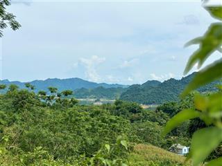 Cơ hội đầu tư bán 5000m² đất đẹp tại hiền lương, đà bắc. mặt tiền khủng 200m  giá chỉ 3 tỷ!