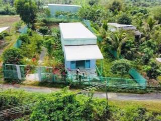 Nhà vườn tại trung tâm cần giuộc,1000m đường ô tô có sẵn nhà, cây ăn trái và ao cá giá 1 tỷ 850tr