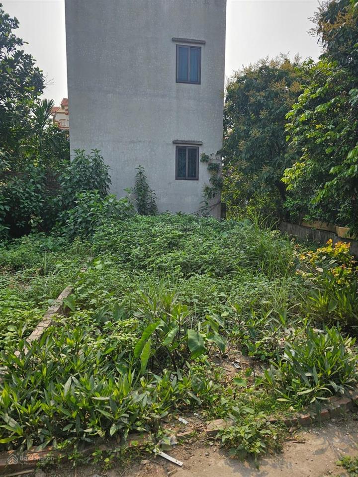 Lô góc tại xã khánh hà,thường tín, hà nội, dt 42m mt4,5m gía 2,5 tỷ chính chủ giá tốt.