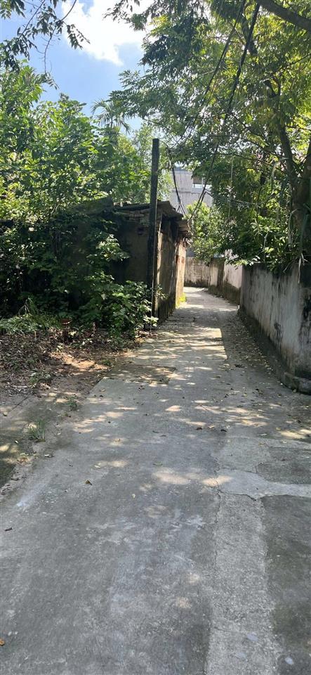 Lô hoàng xá khánh hà thường tín. dt 45,6m2 mt3,96m giá 3,8 tỷ ngõ thông ô tô vào đất gần vành đai 4