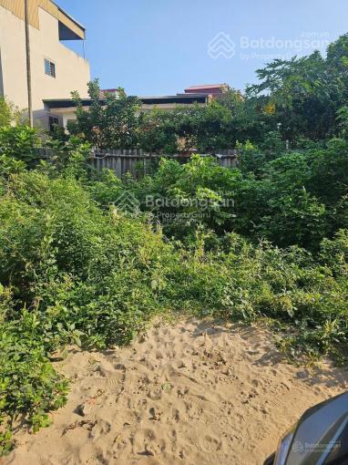 Bán đất 40m2 tại xã đại áng, thanh trì, hà nội chỉ với 4,3 tỷ vnd. ngõ ô tô 7 chỗ vào ngõ thông