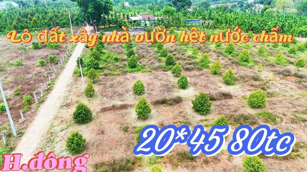 Cần bán lô đất mặt tiền bê tông, diện tích lớn 900m² tại châu đức, bà rịa vũng tàu