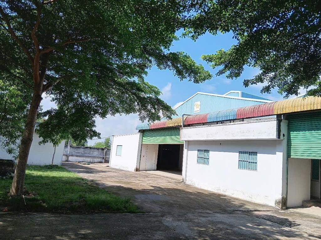 Bán xưởng tỉnh lộ 823, ấp tân bình, hòa khánh tây, đức hòa