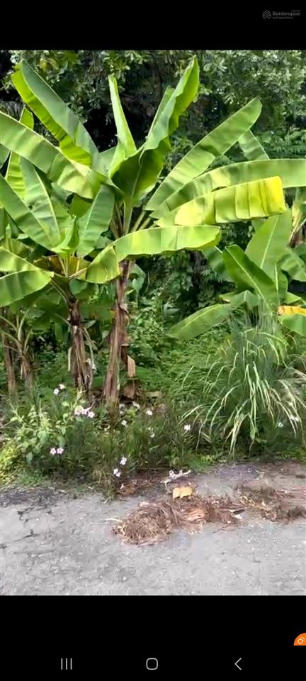 Bán đất hẻm xe hơi bình quới p28 bình thạnh