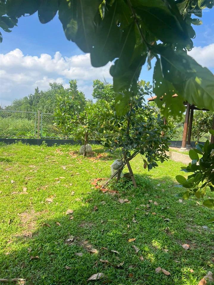 Bán đất thổ cư và đất nông nghiệp p28 bình quới khu bán đảo thanh đa, quy hoạch đẹp nhất sài gòn