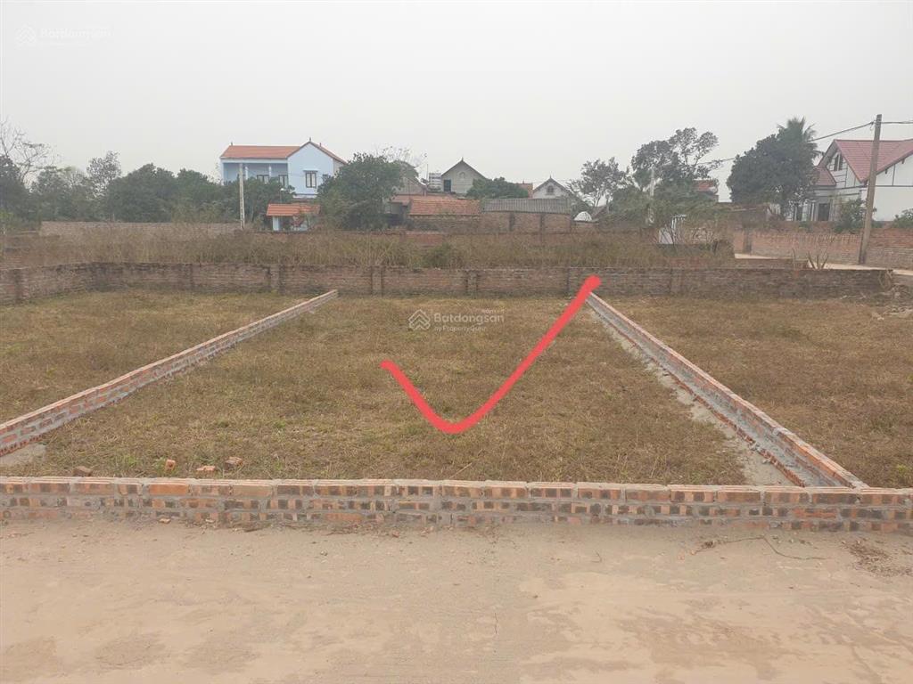 Bán đất 100m2 tại đường thái lai, xã minh trí, sóc sơn, hà nội