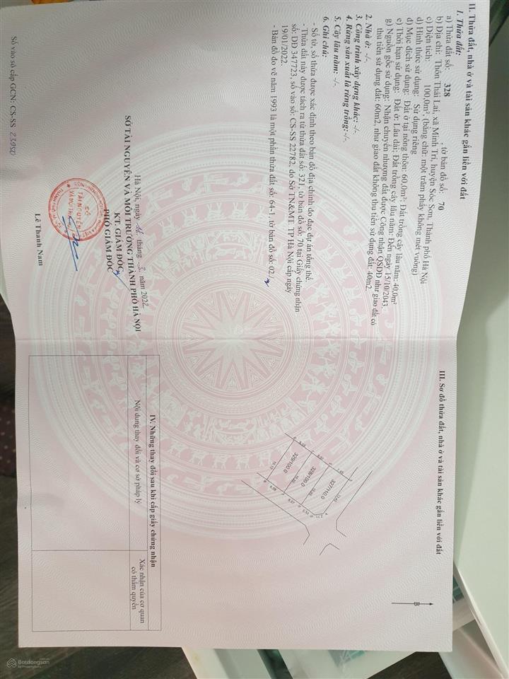 Bán đất 100m2 tại đường thái lai, xã minh trí, sóc sơn, hà nội