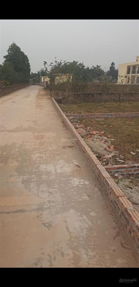 Bán đất 100m2 tại đường thái lai, xã minh trí, sóc sơn, hà nội