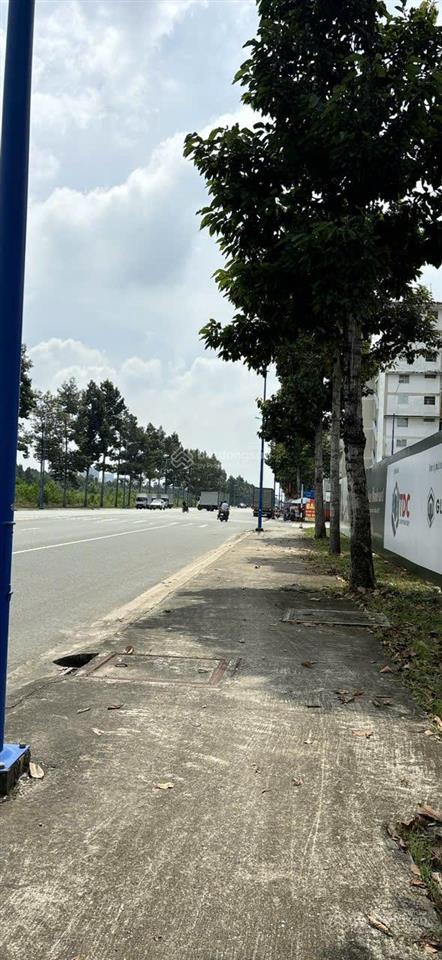 Nhà mặt tiền lê lợi, tpm, bình dương. 4 tầng, dt 5x24m, 7.25tỷ/căn. mua ở và đầu tư rất thích hợp