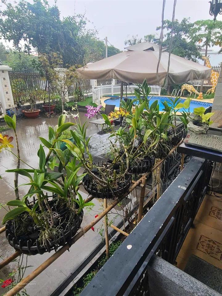 Quận 2  biệt thự đẳng cấp khu thảo điền  mtkd nguyễn văn hưởng  ngang 35m bề thế. vua nhà