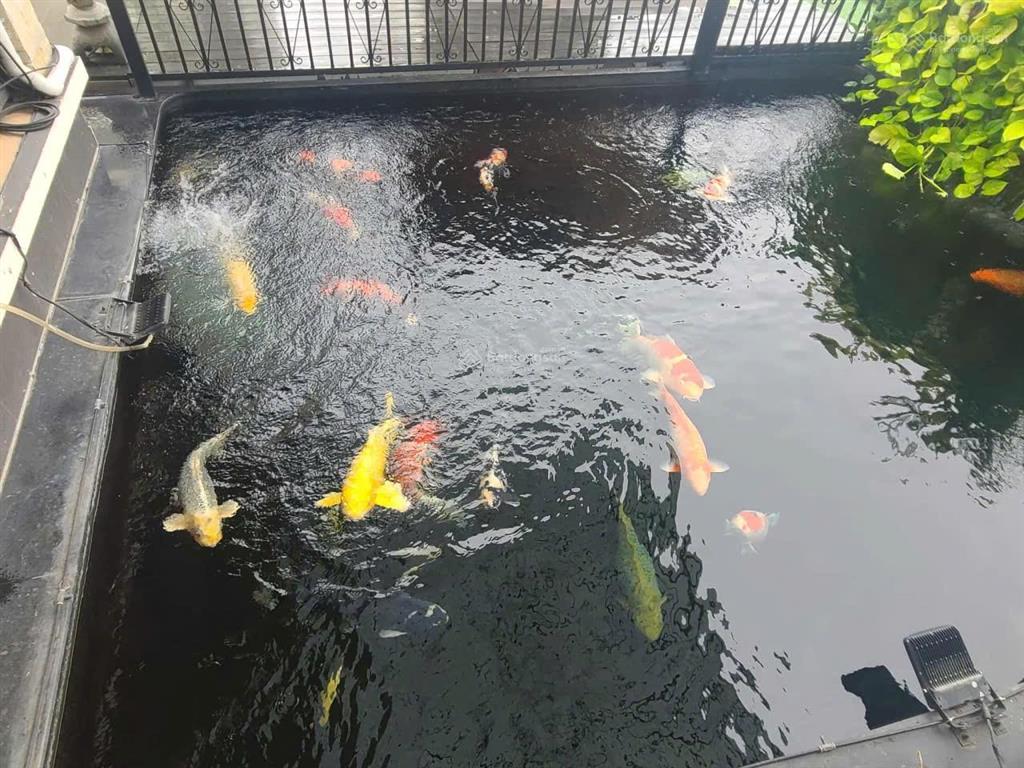 Quận 2  biệt thự đẳng cấp khu thảo điền  mtkd nguyễn văn hưởng  ngang 35m bề thế. vua nhà