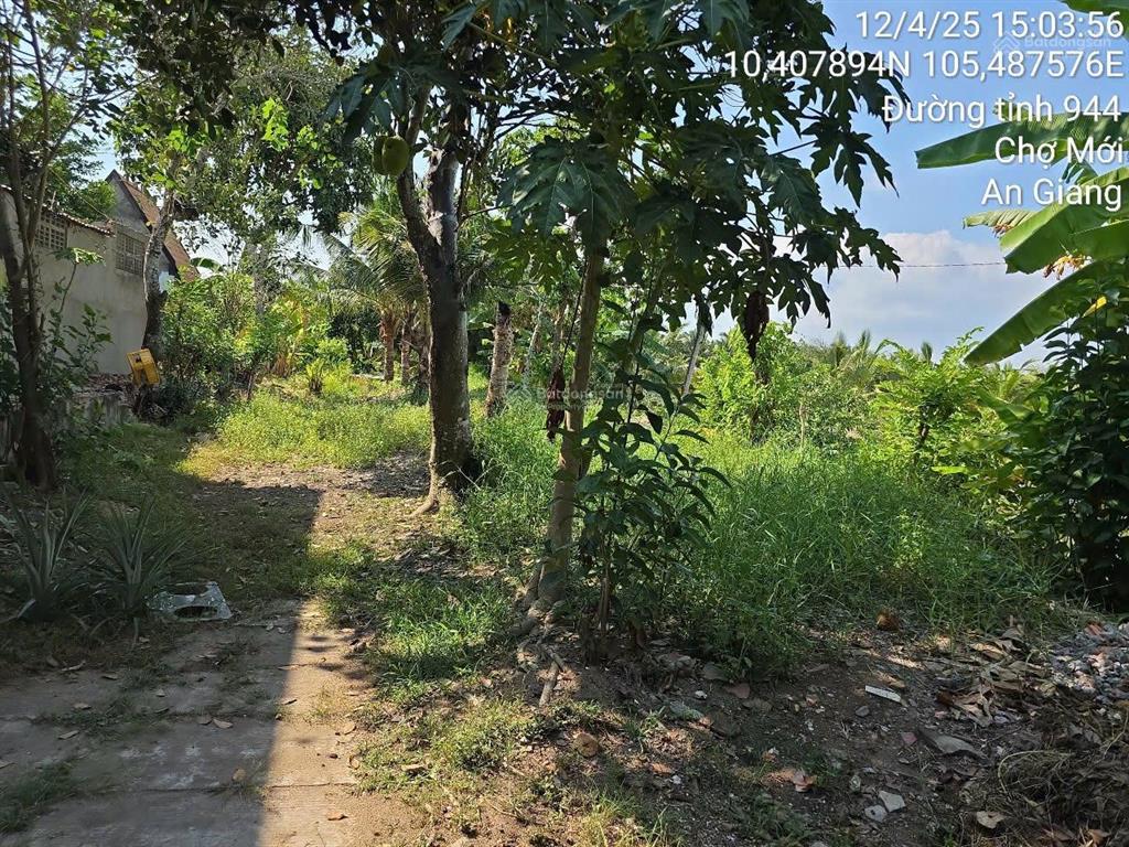 Bán đất mặt đường tl944 xã an thạnh trung, chợ mới, an giang  422.4 m2  giá thỏa thuận