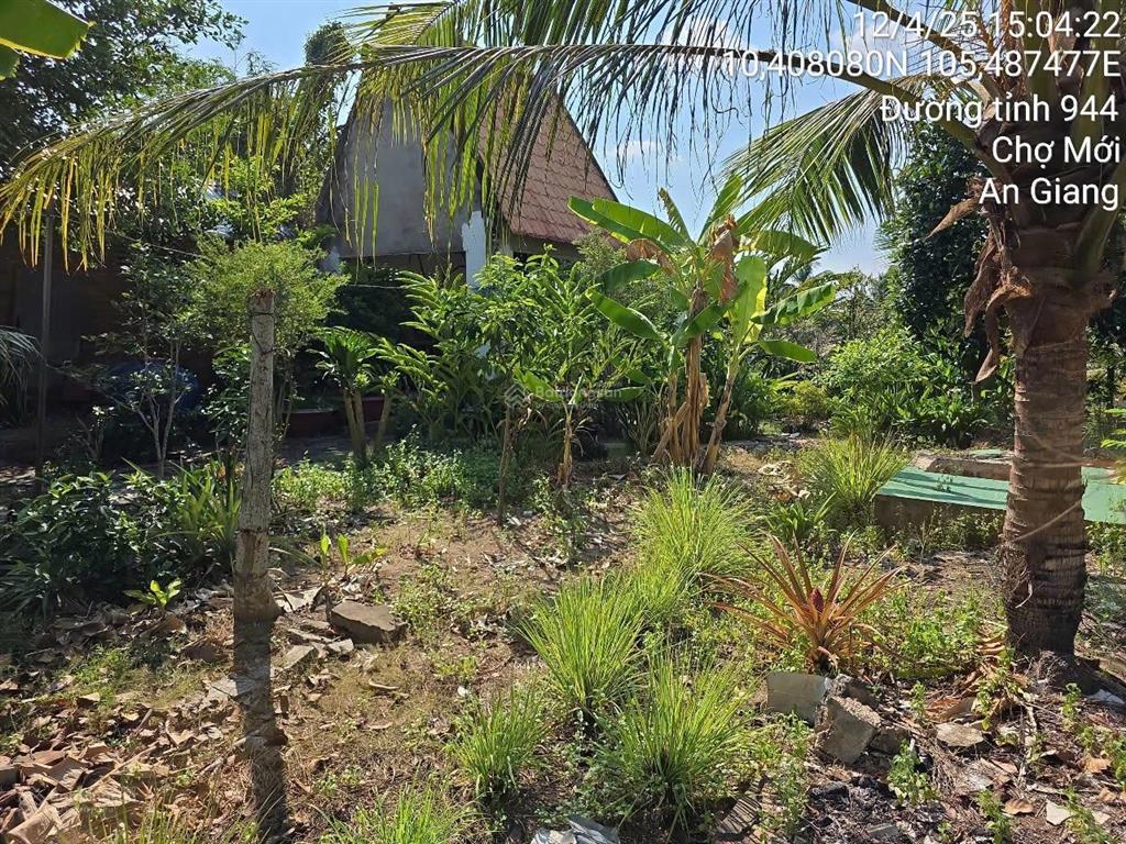 Bán đất mặt đường tl944 xã an thạnh trung, chợ mới, an giang  422.4 m2  giá thỏa thuận