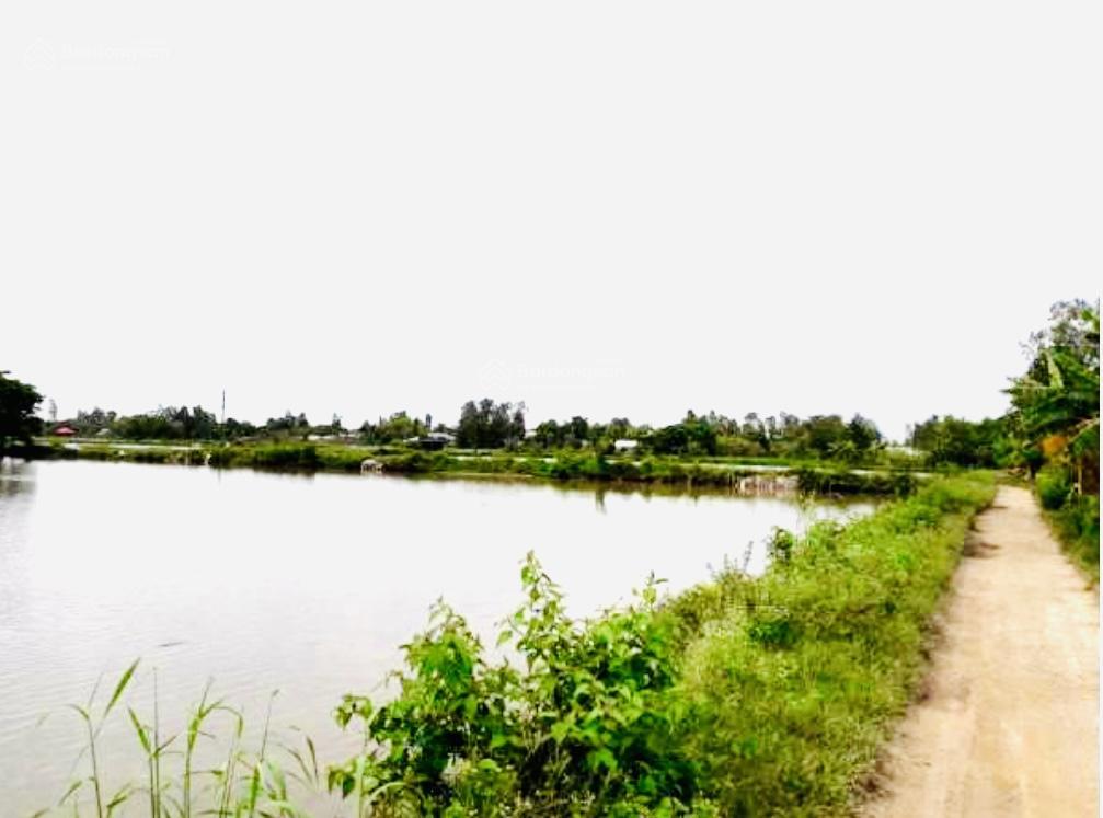 Bán đất tại vĩnh hanh, châu thành, an giang 72737 m2 giá thỏa thuận