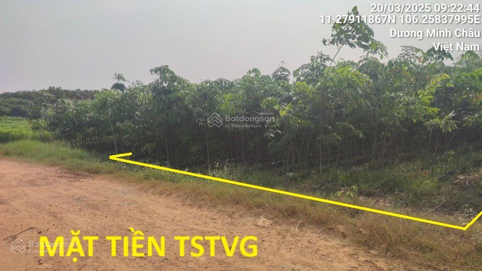 Bán lô đất nền tại dương minh châu  4094.3m2  giá tốt!