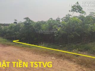 Bán 9 lô đất nền tại dương minh châu  4094.3m2  giá tốt!