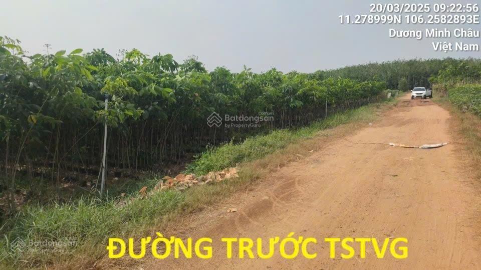Bán lô đất nền tại dương minh châu  4094.3m2  giá tốt!