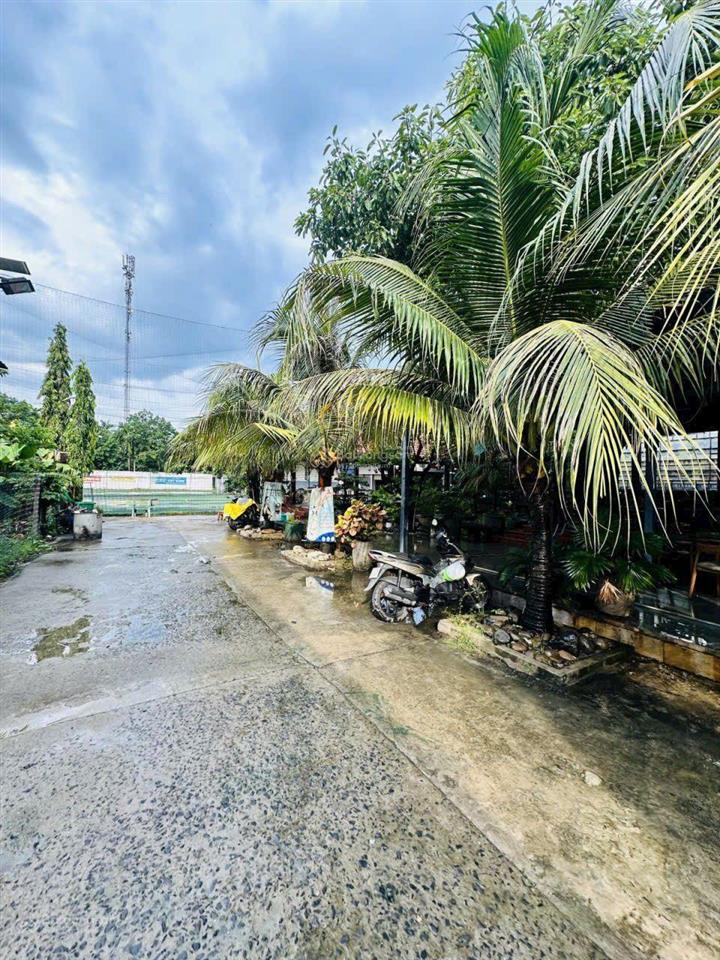 Quá rẻ chỉ 30tr/m2  thạnh lộc quận 12  2 tầng 3268m2 63x94  hẻm xe tải  thu nhập 80tr/th