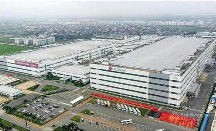 (tin hot) đón sóng kcn tràng duệ 3, an lão, hải phòng, 62m2 mt 5m, ô tô đỗ cửa, giá 600  790tr