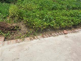 Bán lô 42m2 nhỏ, vuông, xinh xuân nộn, đông anh, hơn 2 tỷ tí teo.