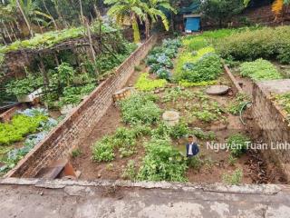 Bán 44m2 dục nội, rẻ nhất việt hùng, bao quanh 2 chợ, gần đường cao lỗ