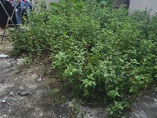 Bán 42,8m2 thôn đầm, vân nội  nhỏ tiền  vị trí tiềm năng