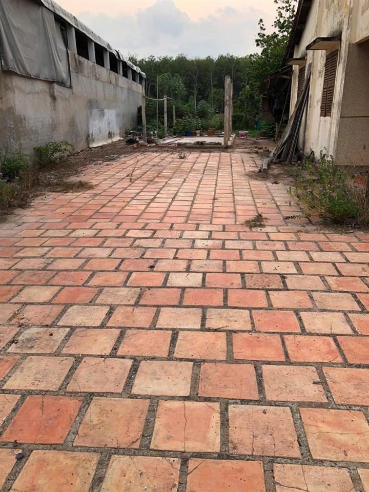 Cần ra nhanh lô đất 300m2 gần kcn trảng bàng  giá chỉ nhỉnh 1 tỷ  thương lượng mạnh