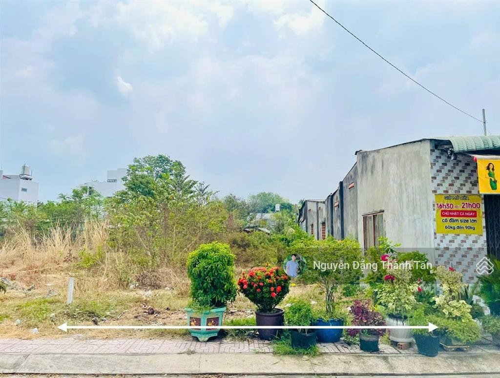 Chị hồng buôn bán thua lỗ, gửi bán lô đất siêu đẹp 198m2 ngang mt 7m đường huỳnh văn cọ, tt củ chi