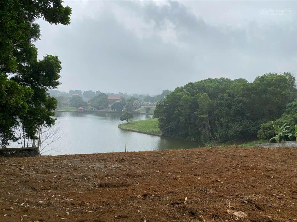 Bán 6500m2 800m2 tc view hồ đấy ace ơi đất nghỉ dưỡng 6500m2/800m2 ont view hồ miễu cực đẹp