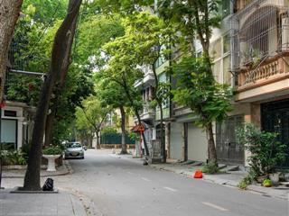 Cho thuê nhà liền kề tại khu đô thị định công, hoàng mai, hà nội