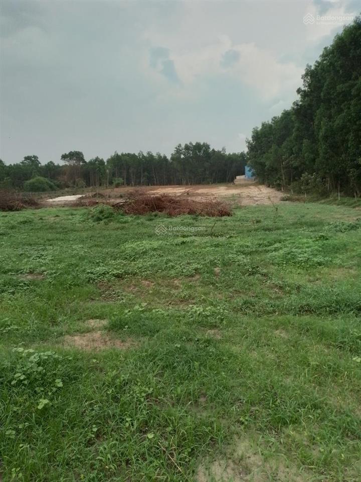Đất gia đình bán diện tích 9,799m2, tại xã long thành mới, gần sân bay, ql51, cao tốc lt hcm