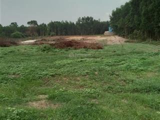 Đất gia đình bán diện tích 9,799m2, tại xã long thành mới, gần sân bay, ql51, cao tốc lthcm.