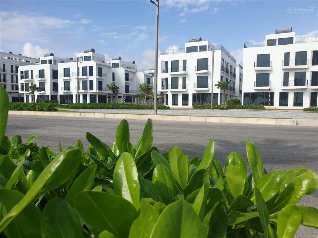 Cần bán gấp lô biệt thự dt 252m2 tại dự án vlasta sầm sơn, thanh hóa