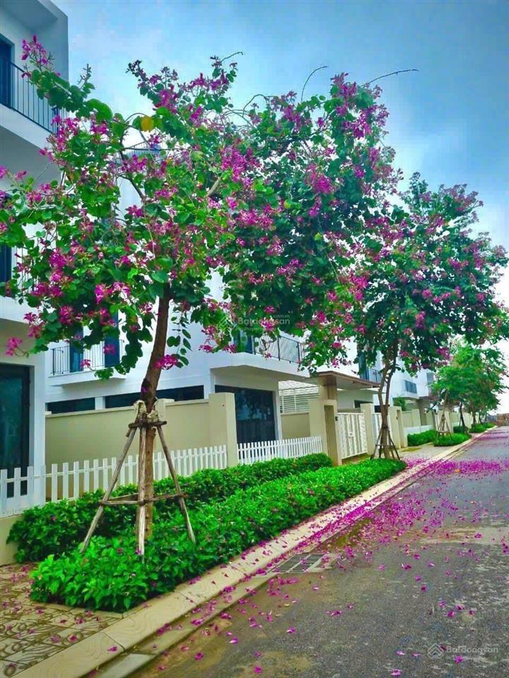 Cần bán gấp lô biệt thự dt 252m2 tại dự án vlasta sầm sơn, thanh hóa