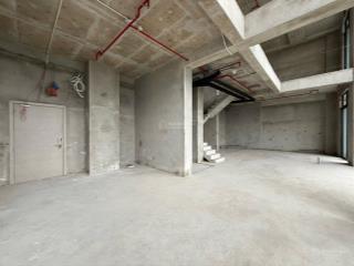 Penhouse sky forest view toàn cảnh ecopark