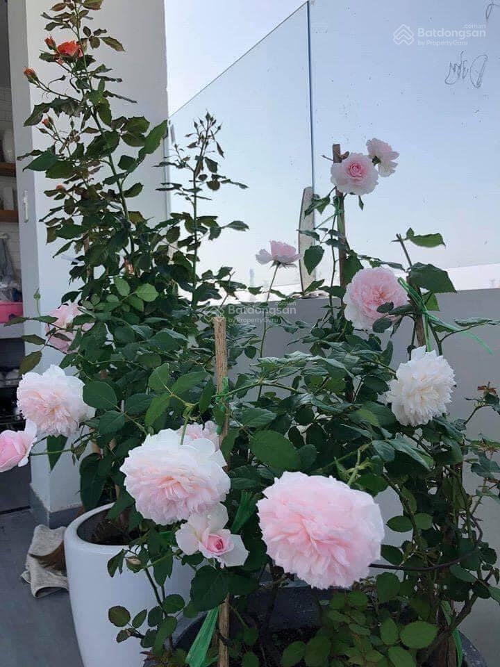 Gia đình cần bán gấp mặt phố ngô thì nhậm, kinh doanh, vỉa hè, 48m2, ô tô, 4 tầng, chỉ 16 tỷ