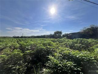 Bán đất 2008m² (100m² thổ cư), mặt tiền 18m xe hơi vào tận nơi xã suối cao, xuân lộc, đồng nai