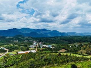 Sở hữu ngay 1305m2 đất view săn mây cực đẹp tại lộc bắc, chỉ 850 triệu, ngân hàng hỗ trợ vay 50%