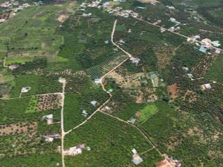 Bán đất tại xã hoà ninh, di linh, lâm đồng, giá tốt, 399 triệu, 95.7 m2