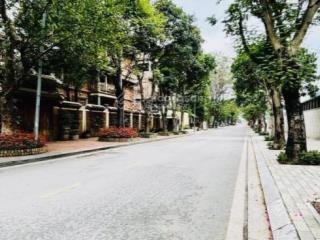 Bán mảnh đất khu d9 vườn đào tây hồ 175m2 mặt tiền 11m làm biệt thự hoặc xây 7 nổi 1 hầm