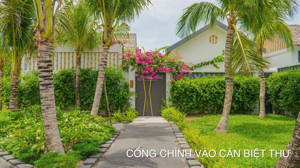 Bán căn biệt thự bãi kem giá từ 12 tỷ, đang khai thác tốt từ đơn vị vận hành quốc tế new world